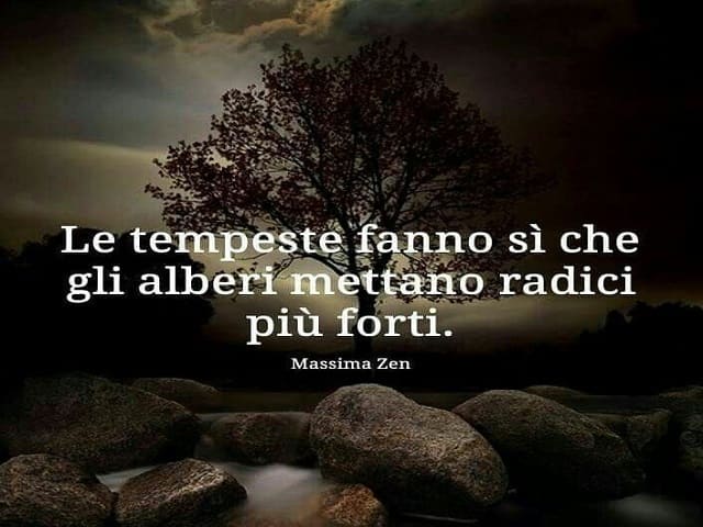 Le tempeste fanno sì che gli alberi mettano radici più forti.