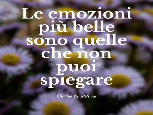 Le emozioni più belle sono quelle che non puoi spiegare. (Charles Baudelaire)
