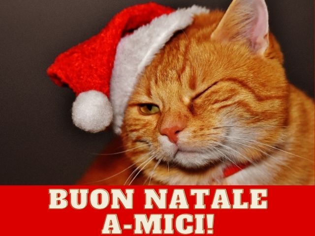 Buon Natale a-mici!
