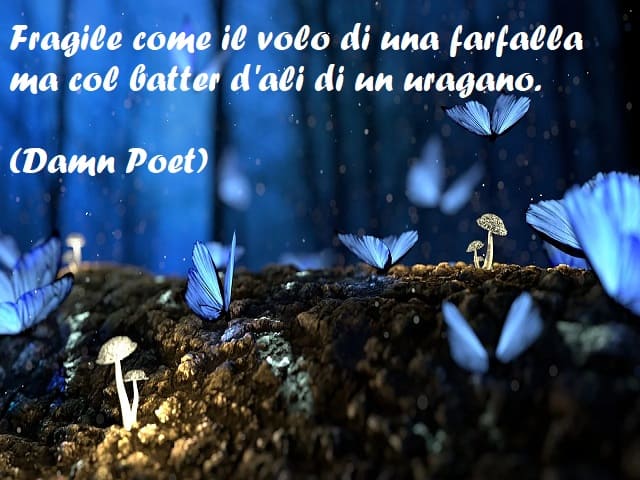 Fragile come il volo di una farfalla ma col batter d'ali di un uragano. (Damn Poet)