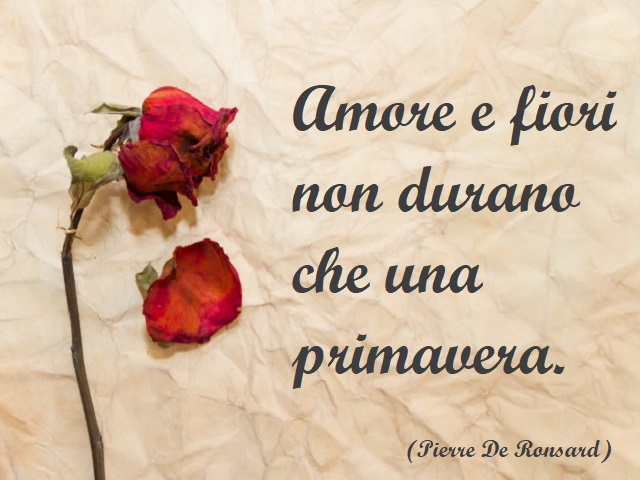 Amore e fiori non durano che una primavera. (Pierre De Ronsard)