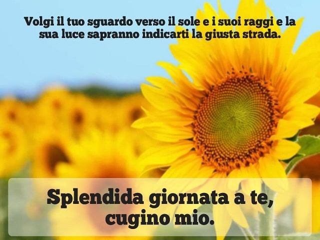 Volgi il tuo sguardo verso il sole e i suoi raggi e la sua luce sapranno indicarti la giusta strada.Splendida giornata a te, cugino mio.