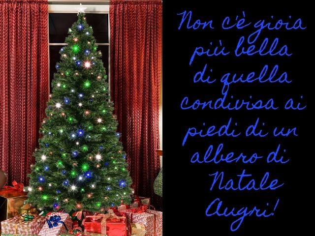 Non c'è gioia più bella di quella condivisa ai piedi di un albero di Natale.Auguri!