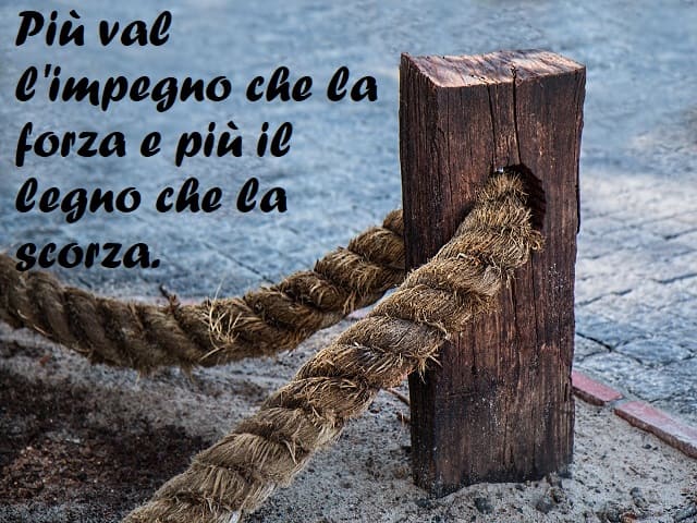 Più val l'impegno che la forza e più il legno che la scorza.