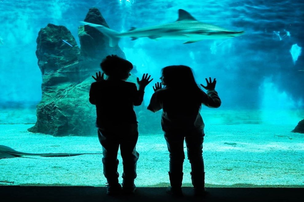 Acquario di Genova offerte