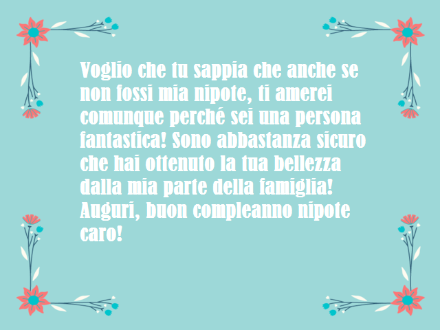 Voglio che tu sappia che anche se non fossi mia nipote, ti amerei comunque perché sei una persona fantastica! Sono abbastanza sicuro che hai ottenuto la tua bellezza dalla mia parte della famiglia!Auguri, buon compleanno nipote caro!