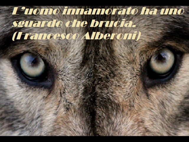 L'uomo innamorato ha uno sguardo che brucia. (Francesco Alberoni)