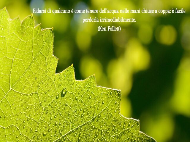 Fidarsi di qualcuno è come tenere dell’acqua nelle mani chiuse a coppa: è facile perderla irrimediabilmente.(Ken Follett)