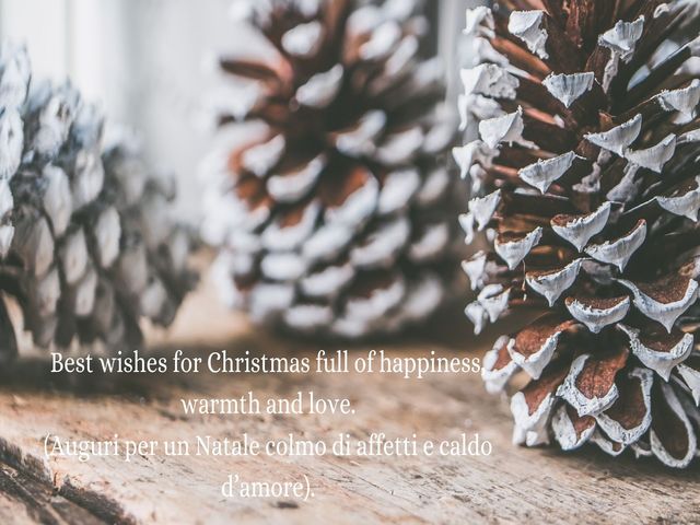 Best wishes for Christmas full of happiness,