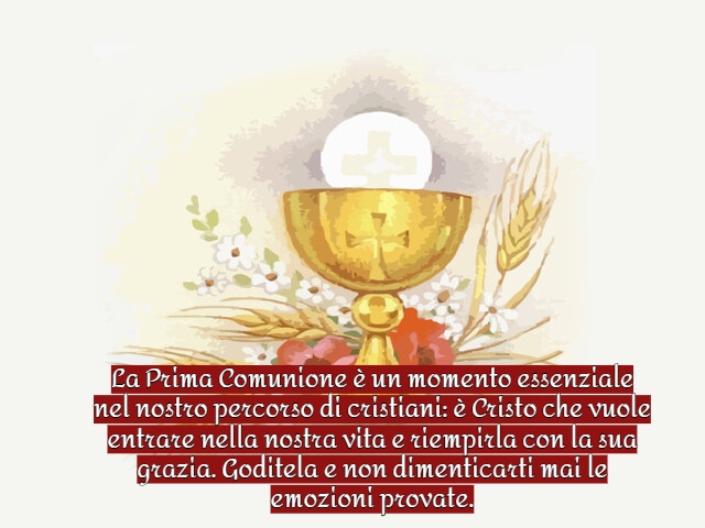 La Prima Comunione è un momento essenziale nel nostro percorso di cristiani: è Cristo che vuole entrare nella nostra vita e riempirla con la sua grazia. Goditela e non dimenticarti mai le emozioni provate.