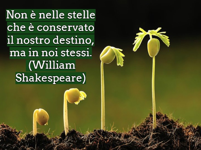 Non è nelle stelle che è conservato il nostro destino, ma in noi stessi.(William Shakespeare)