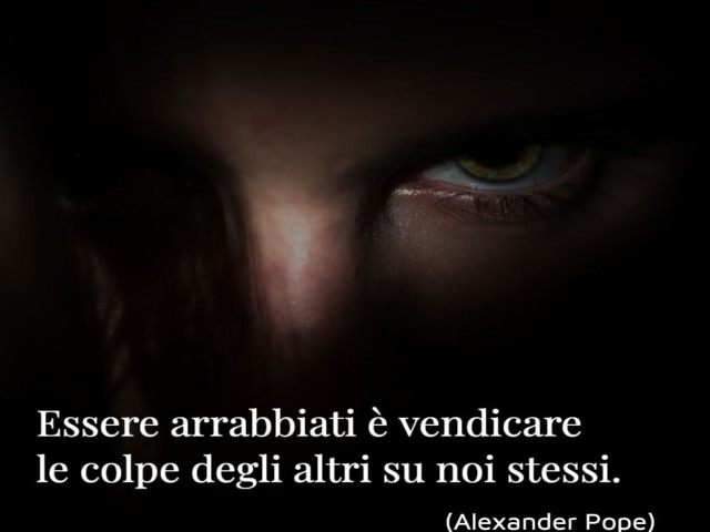 Essere arrabbiati è vendicare le colpe degli altri su noi stessi. (Alexander Pope)
