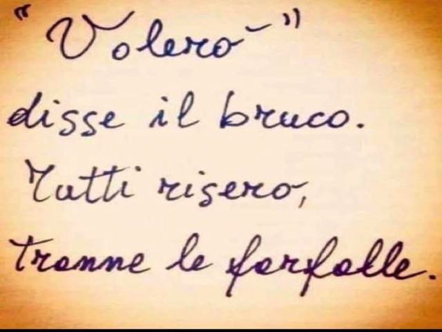 "Volerò"" disse il bruco. Tutti risero, tranne le farfalle.