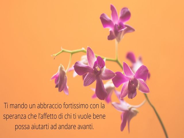 Ti mando un abbraccio fortissimo con la speranza che l’affetto di chi ti vuole bene possa aiutarti ad andare avanti.