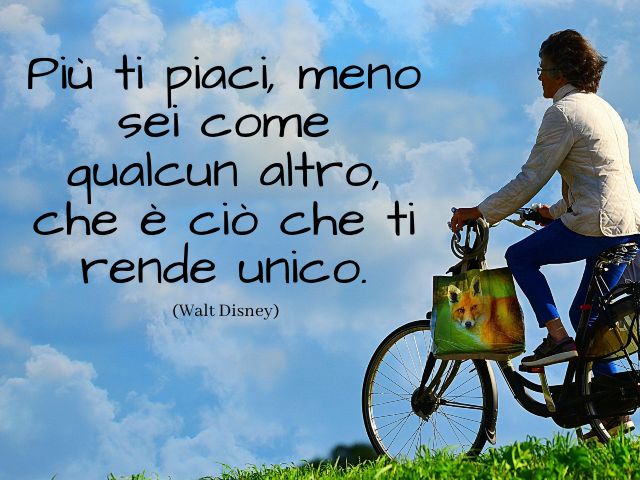 Più ti piaci, meno sei come qualcun altro, che è ciò che ti rende unico. (Walt Disney)