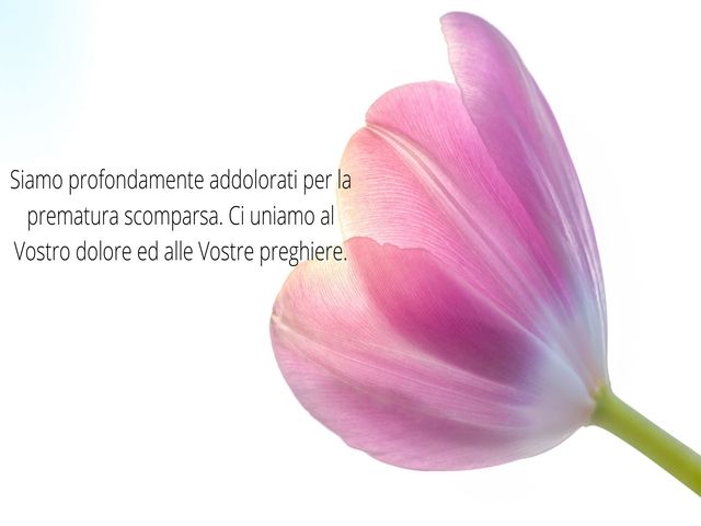Siamo profondamente addolorati per la prematura scomparsa. Ci uniamo al Vostro dolore ed alle Vostre preghiere.