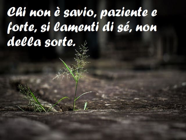 Chi non è savio, paziente e forte, si lamenti di sé, non della sorte.