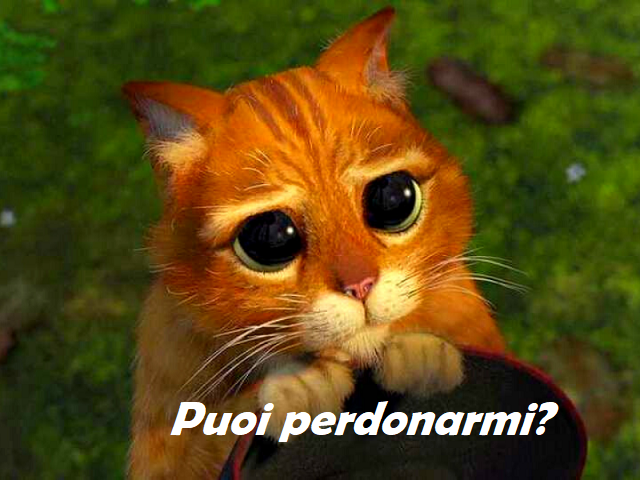 Puoi perdonarmi?
