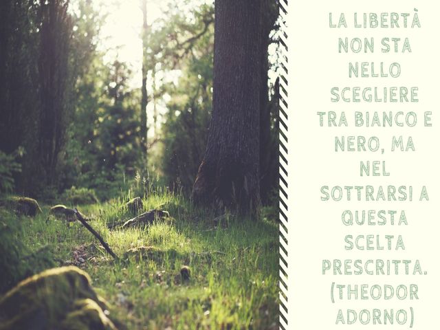 aforismi libertà