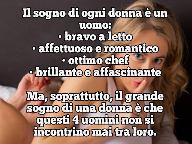 Il sogno di ogni donna è un uomo: bravo a letto, affettuoso e romantico, ottimo chef, brillante e affascinante. Ma, soprattutto, il grande sogno di una donna è che questi 4 uomini non si incontrino mai tra loro.