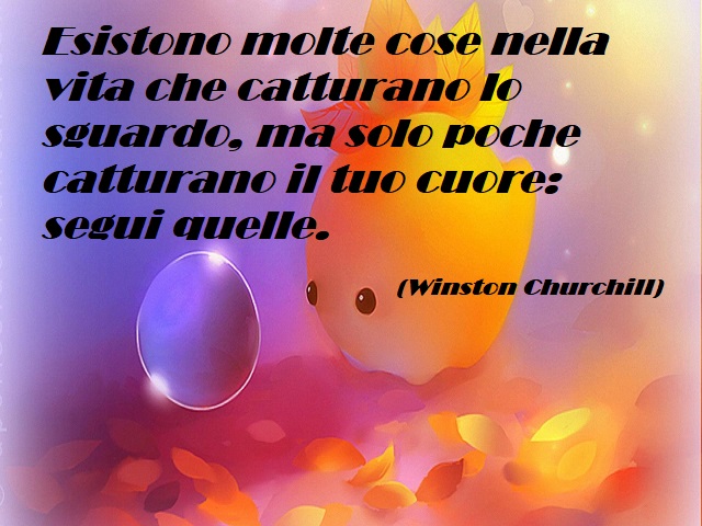 Esistono molte cose nella vita che catturano lo sguardo, ma solo poche catturano il tuo cuore: segui quelle. (Winston Churchill)