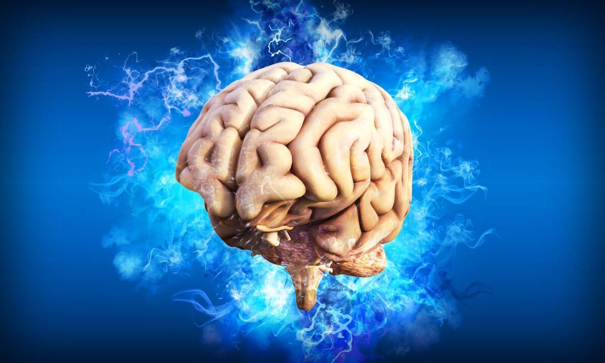 Quanta percentuale del nostro cervello riusciamo ad usare davvero? - 