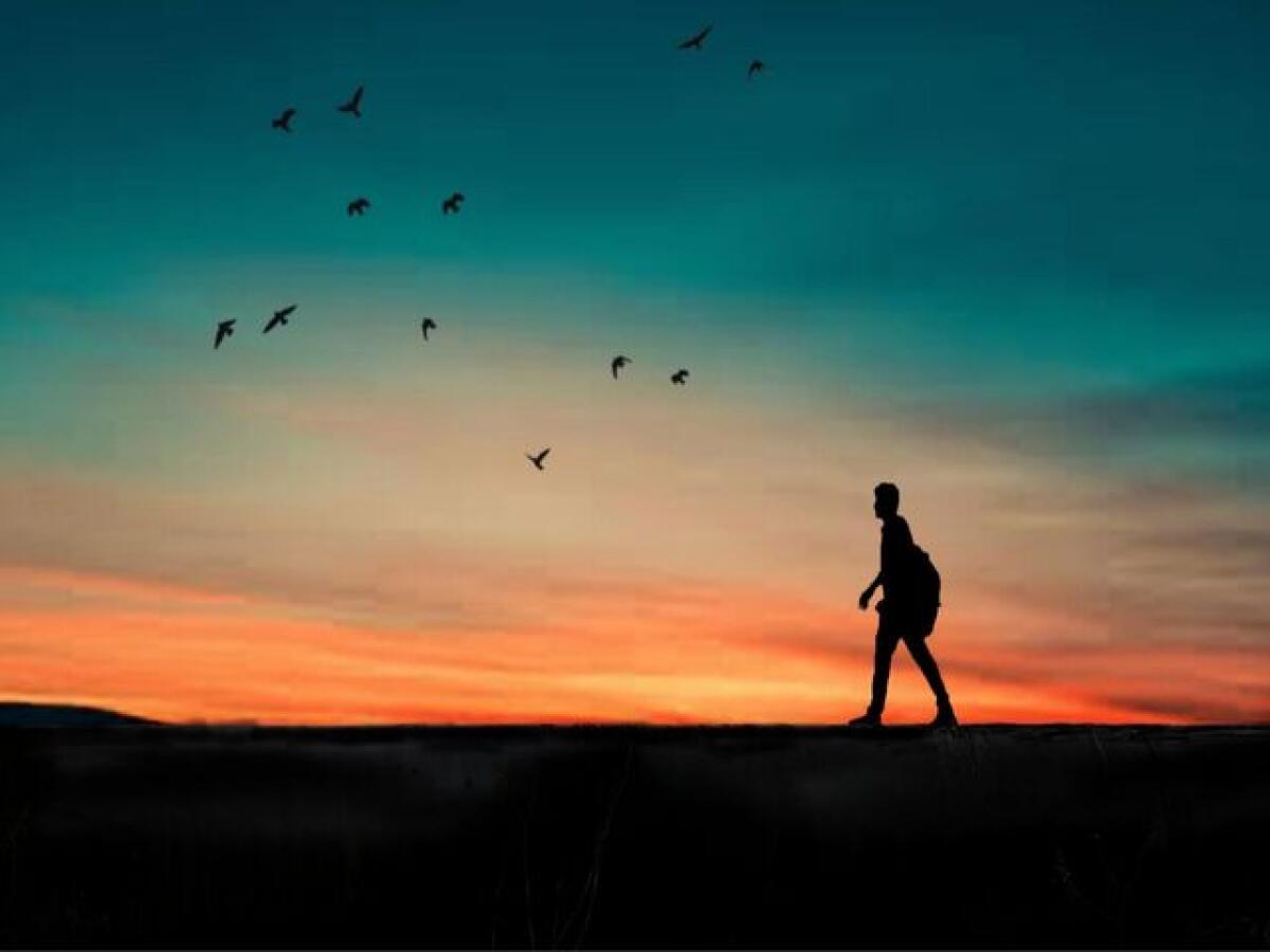 Frasi sulla indifferenza: 262 aforismi e immagini per conoscere questo sentimento - 