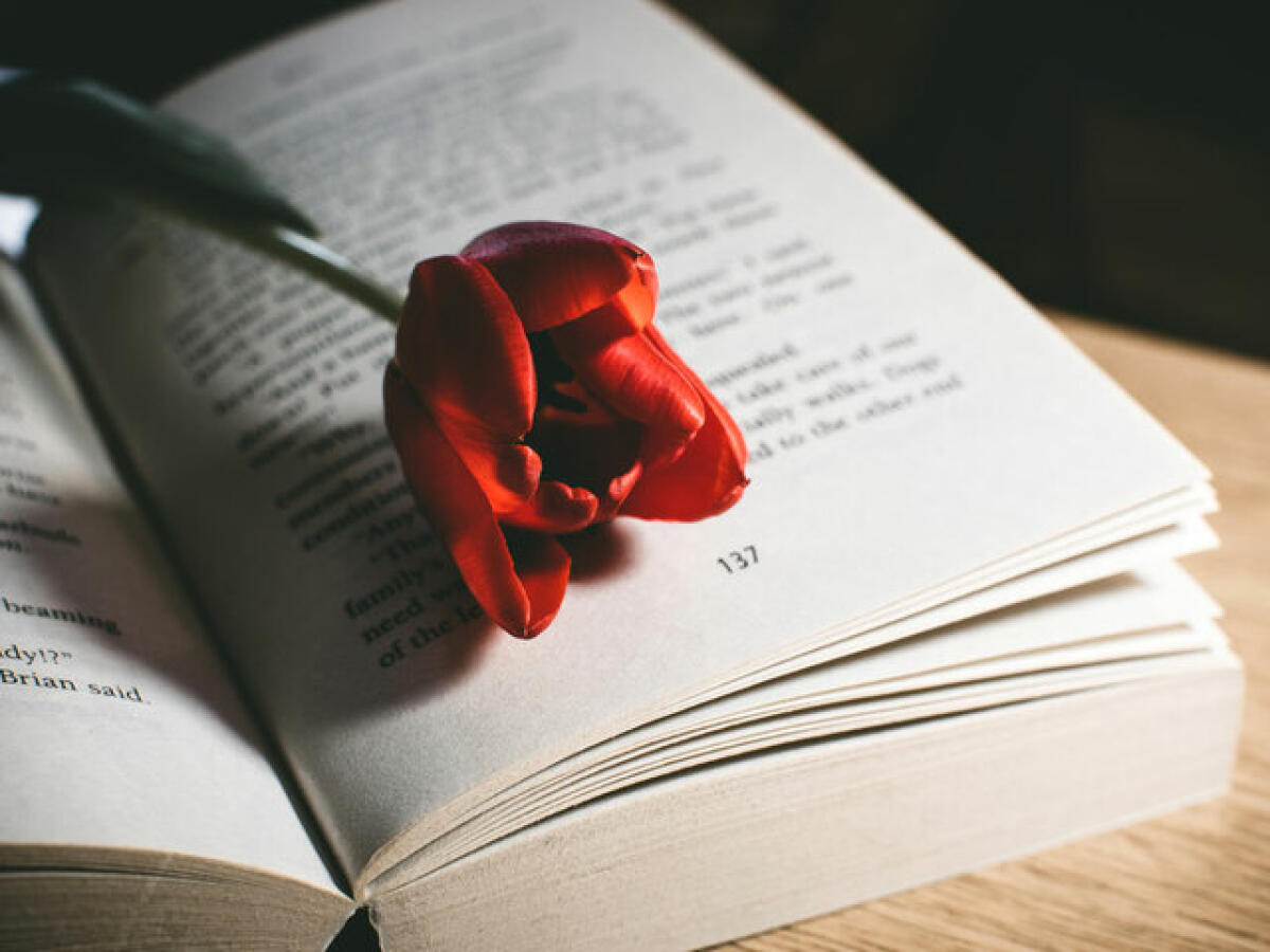 Frasi celebri: 335 aforismi e immagini dedicate alla vita, ai sentimenti e alle passioni - 
