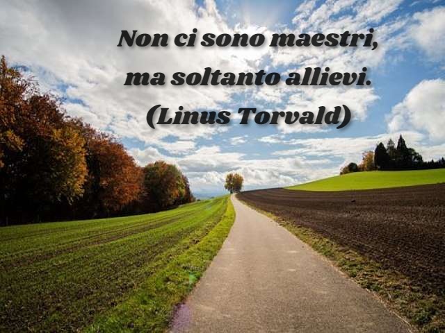 Non ci sono maestri, ma soltanto allievi.(Linus Torvald)