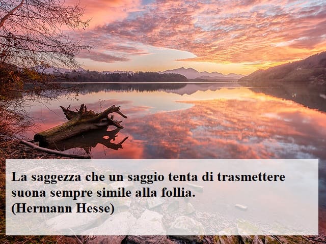 La saggezza che un saggio tenta di trasmettere suona sempre simile alla follia.(Hermann Hesse)