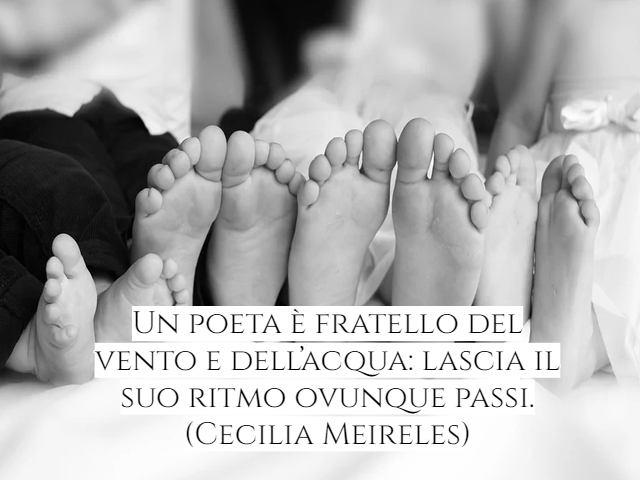 Un poeta è fratello del vento e dell’acqua: lascia il suo ritmo ovunque passi.(Cecilia Meireles)