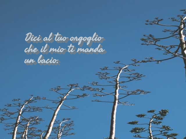 Dici al tuo orgoglio che il mio ti manda un bacio.
