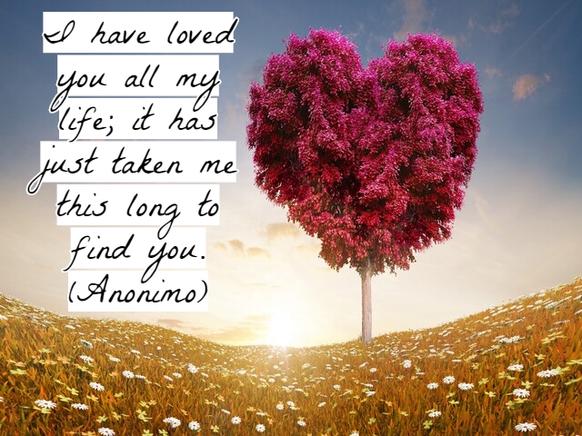 I have loved you all my life; it has just taken me this long to find you.(Ti ho amata per tutta la vita; mi ci è voluto tanto tempo per trovarti).(Anonimo)