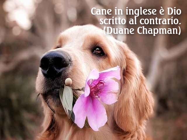 Cane in inglese è Dio scritto al contrario.(Duane Chapman)