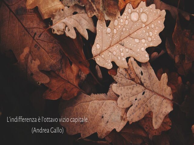 L’indifferenza è l’ottavo vizio capitale.(Andrea Gallo)
