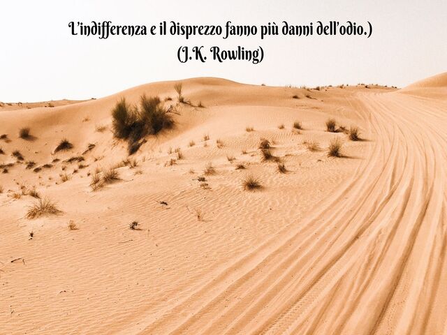 L’indifferenza e il disprezzo fanno più danni dell’odio.)(J.K. Rowling)