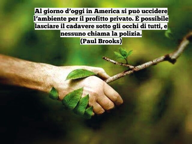 Al giorno d’oggi in America si può uccidere l’ambiente per il profitto privato. È possibile lasciare il cadavere sotto gli occhi di tutti, e nessuno chiama la polizia.(Paul Brooks)