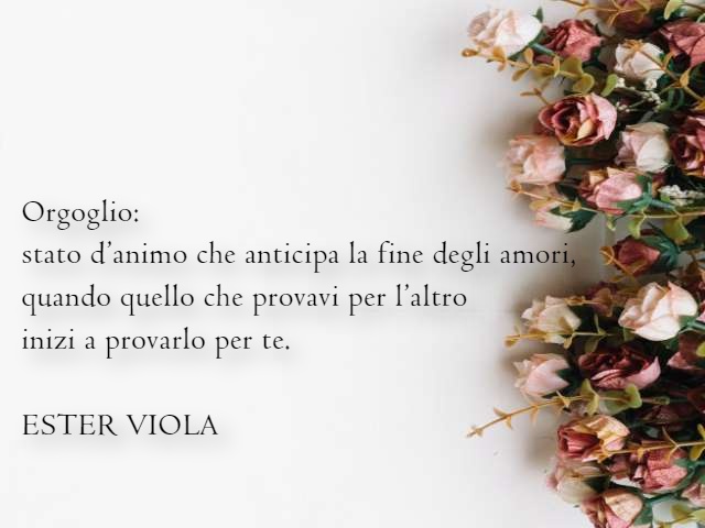 Orgoglio: stato d'animo che anticipa la fine degli amori, quando quello che provavi per l'altro inizi a provarlo per te. (Ester Viola)