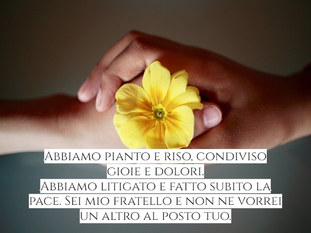 Abbiamo pianto e riso, condiviso gioie e dolori.Abbiamo litigato e fatto subito la pace. Sei mio fratello e non ne vorrei un altro al posto tuo.