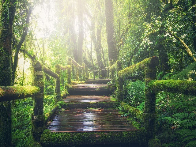 frasi sulla quiete della natura