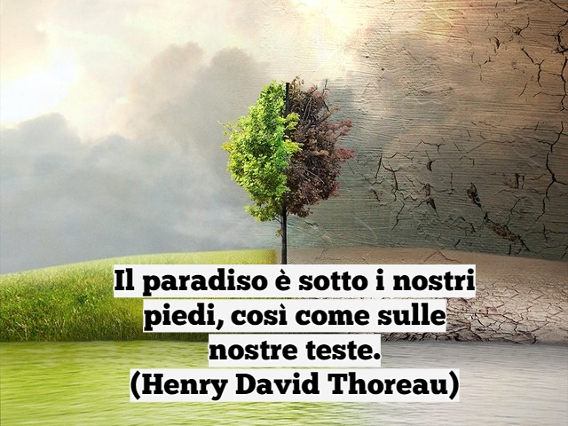 Il paradiso è sotto i nostri piedi, così come sulle nostre teste.(Henry David Thoreau)