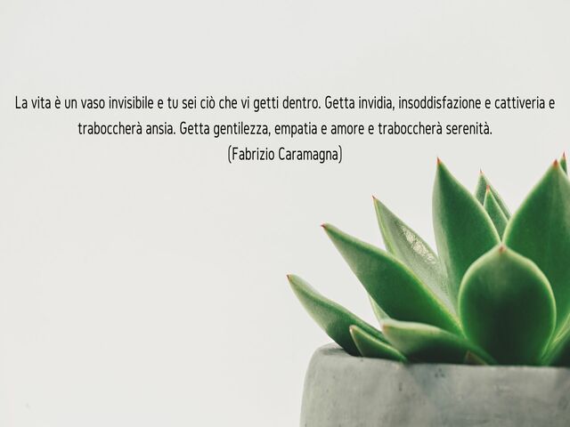 La vita è un vaso invisibile e tu sei ciò che vi getti dentro. Getta invidia, insoddisfazione e cattiveria e traboccherà ansia. Getta gentilezza, empatia e amore e traboccherà serenità.(Fabrizio Caramagna)