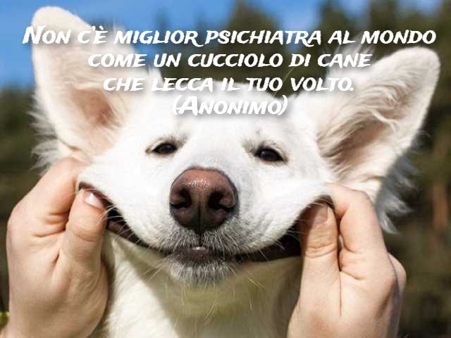 Non c’è miglior psichiatra al mondo come un cucciolo di cane che lecca il tuo volto. (Anonimo)