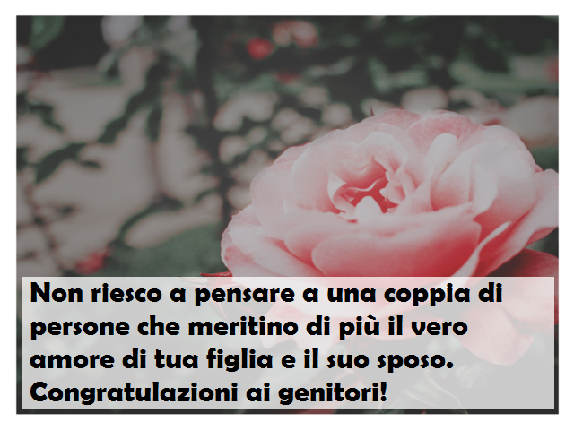 Non riesco a pensare a una coppia di persone che meritino di più il vero amore di tua figlia e il suo sposo. Congratulazioni ai genitori!