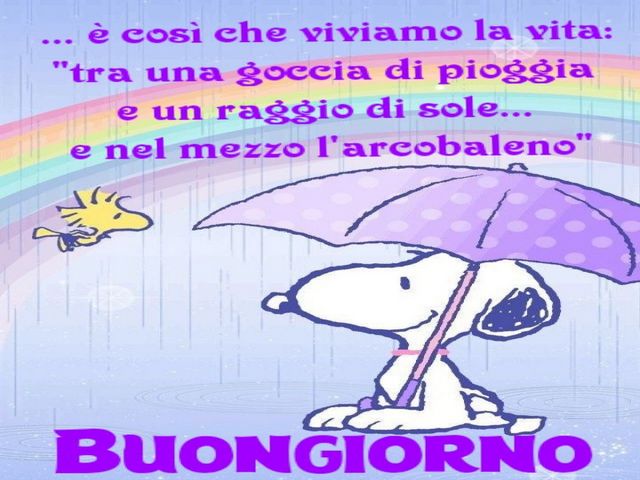 È così che viviamo la vita: "tra una goccia di pioggia e un raggio di sole... e nel mezzo l'arcobaleno". Buongiorno