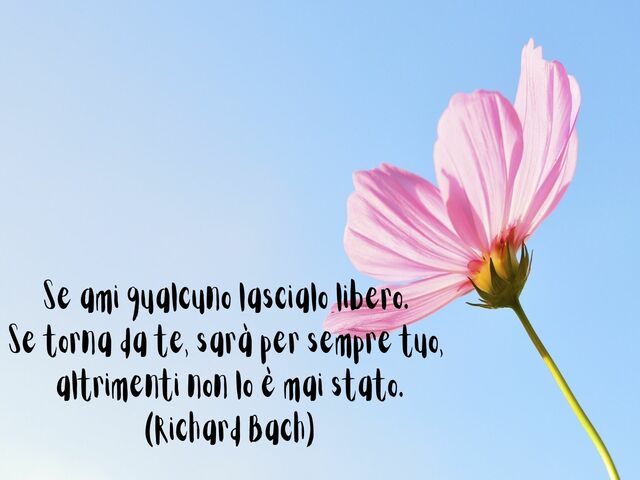 Se ami qualcuno lascialo libero.Se torna da te, sarà per sempre tuo,altrimenti non lo è mai stato.(Richard Bach)