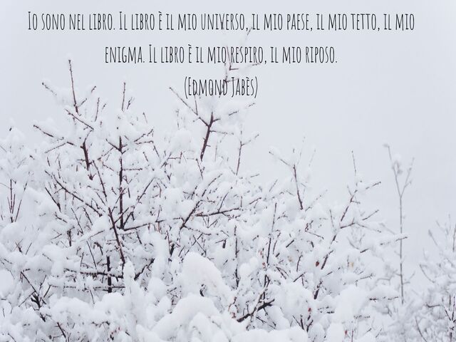 Io sono nel libro. Il libro è il mio universo, il mio paese, il mio tetto, il mio enigma. Il libro è il mio respiro, il mio riposo.(Edmond Jabès)