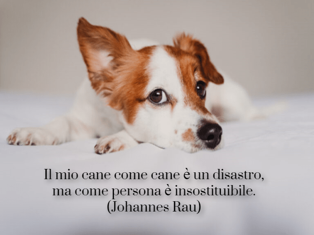 Il mio cane come cane è un disastro,ma come persona è insostituibile. (Johannes Rau)