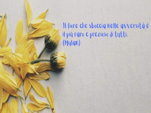 Il fiore che sboccia nelle avversità è il più raro e prezioso di tutti.(Mulan)