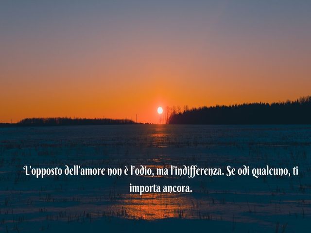 L’opposto dell’amore non è l’odio, ma l’indifferenza. Se odi qualcuno, ti importa ancora.
